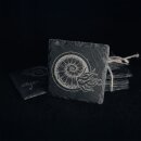 Storm Seeker - Schieferuntersetzer (Nautilus)